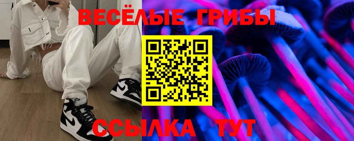 Новочеркасск  Псилоцибиновые грибы Psilocybe  Вход с VPN  Псилоцибиновые грибы мицелий 
